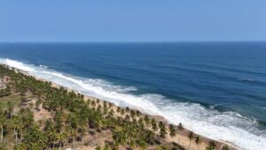 Keyci-terrain en côte d'ivoire-SONGON PETIT-PARIS LOT A-1