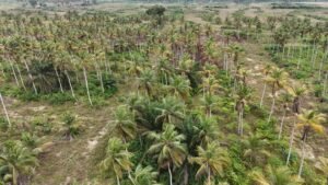 WhatsApp Image 2026-02-20 at 19.39.35 (2)