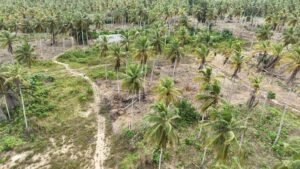 WhatsApp Image 2026-02-20 at 19.39.35